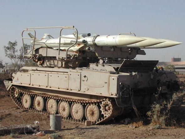 叙利亚山毛榉.jpg 叙利亚山毛榉.jpg