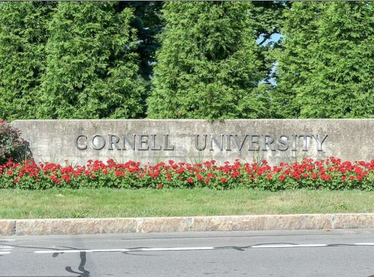 康奈尔大学 康奈尔大学